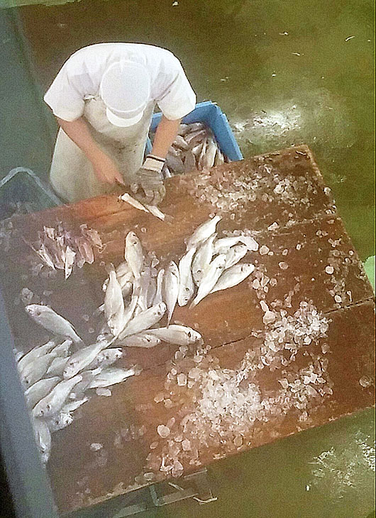 大寅蒲鉾株式会社