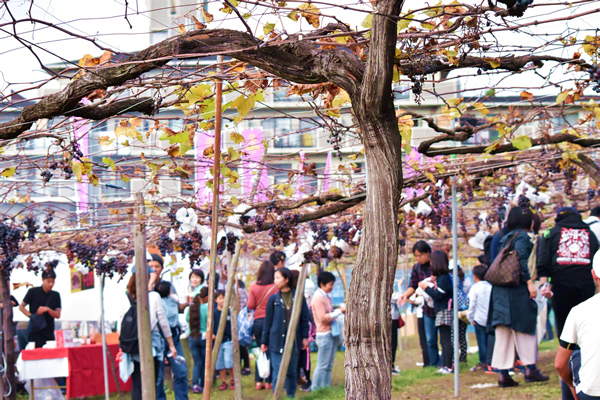 カタシモワイン祭り2018