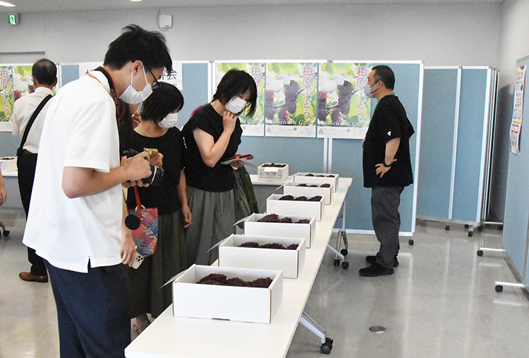 柏原市独自のぶどう品評会