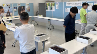 柏原市独自のぶどう品評会