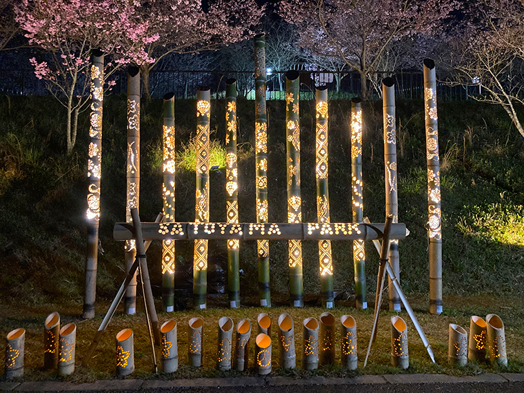 亀の瀬から竜田古道の里山公園へ。ライトアップも鑑賞した桜より