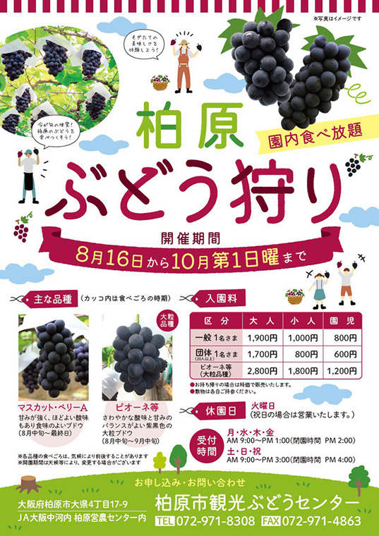 柏原ぶどう狩り