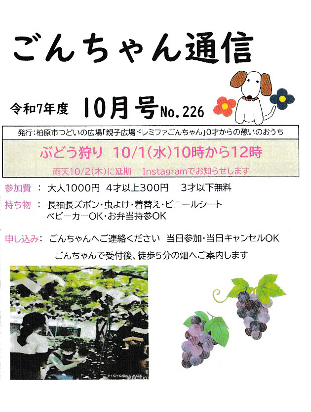 ごんちゃん通信