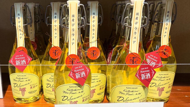 カタシモワイナリー・デラウェア新酒