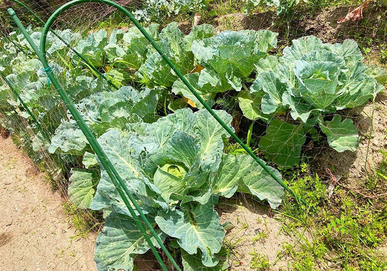 巽製函株式会社