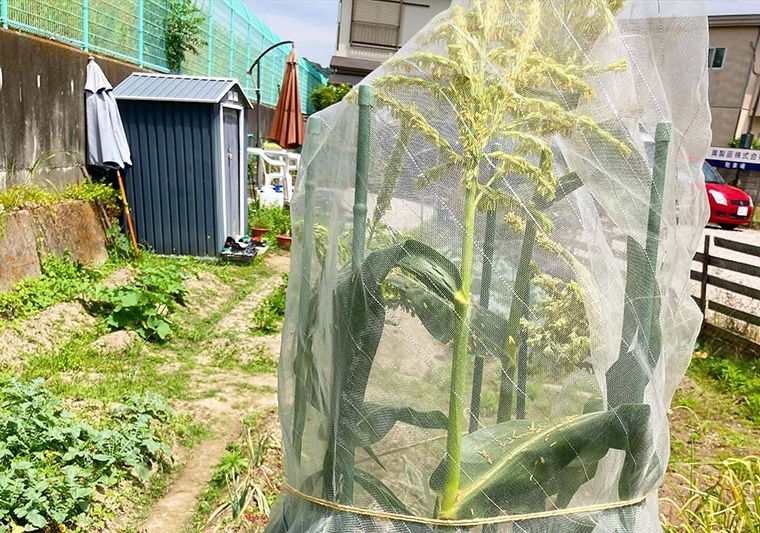 巽製函株式会社