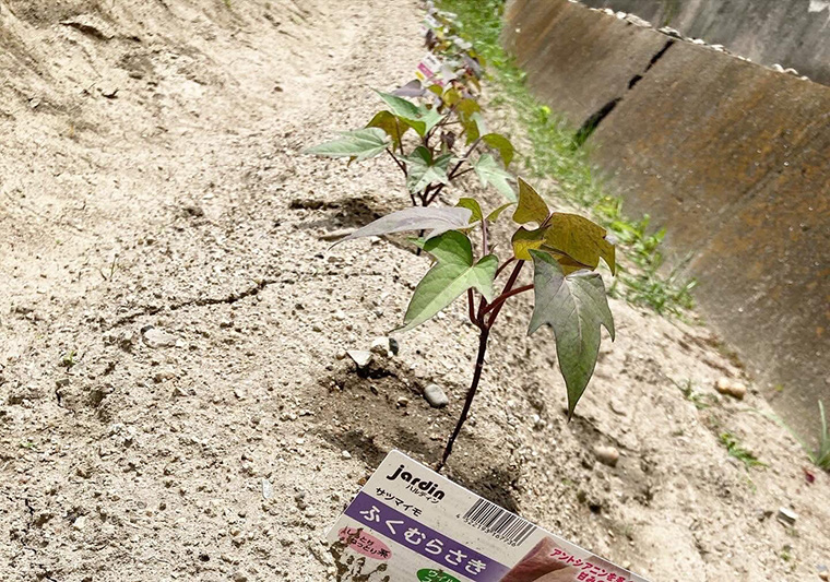 巽製函株式会社