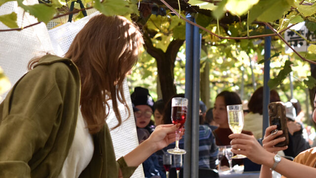 かたしもワイン祭り2025