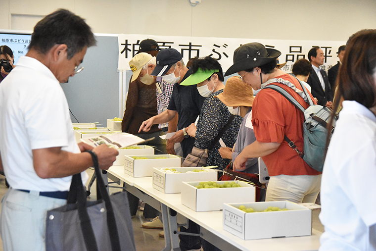 柏原市ぶどう品評会