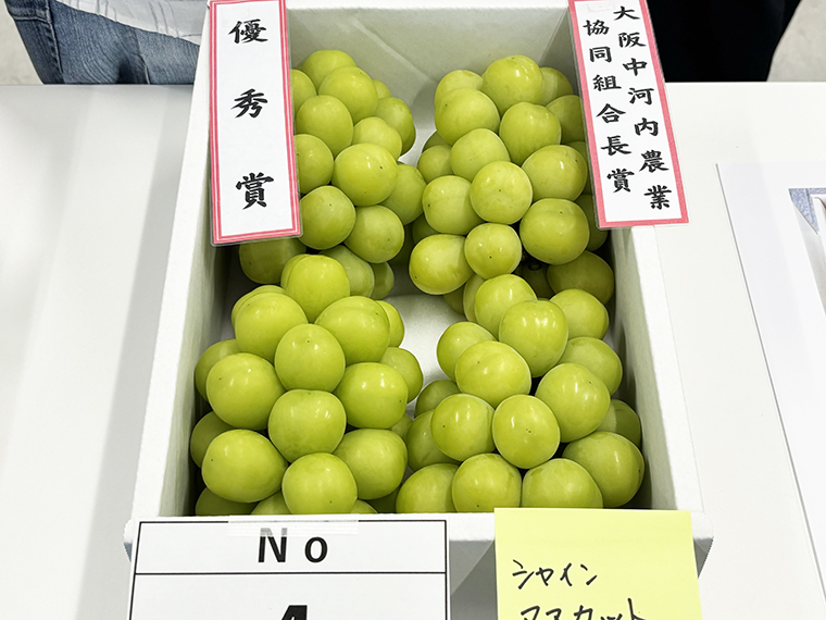 柏原市ぶどう品評会