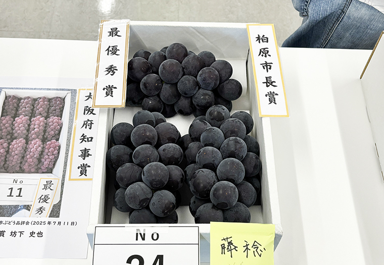 柏原市ぶどう品評会