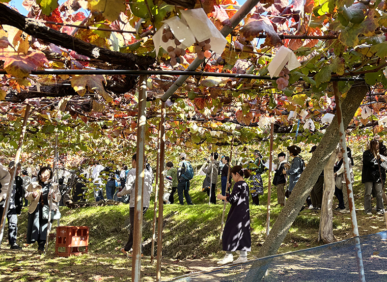 かたしもワイン祭り2025