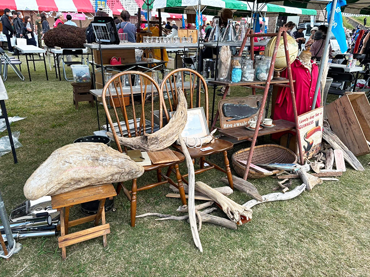 柏原市民総合フェスティバル. 環境村かしわら