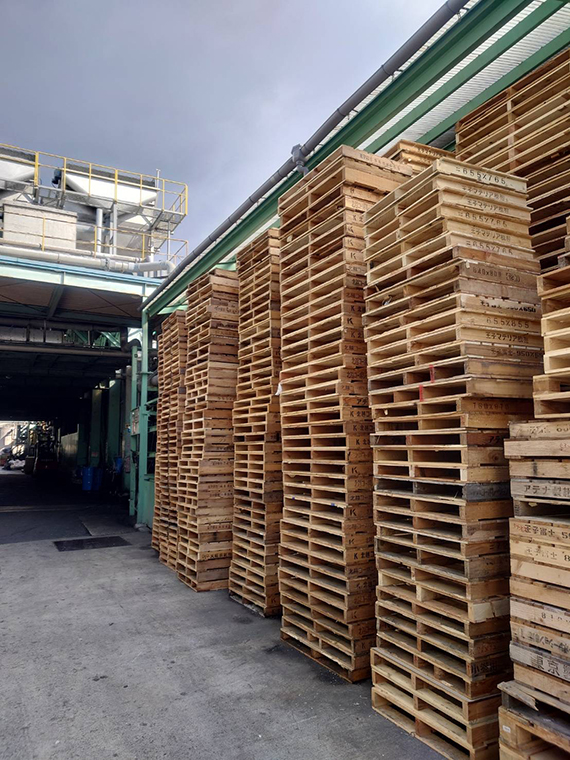 大和板紙株式会社 工場見学