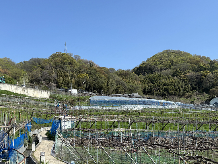 かしわらテロワールツアー