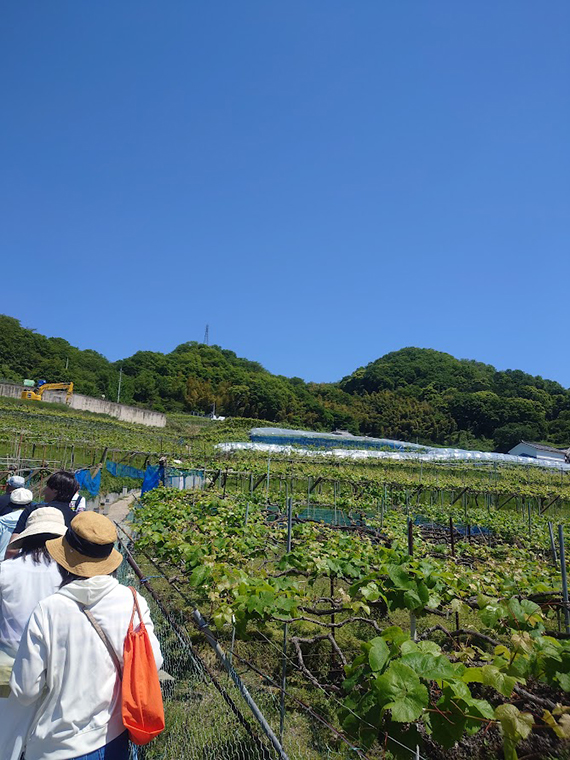 100年つむぐ葡萄とワインの記念祭2026