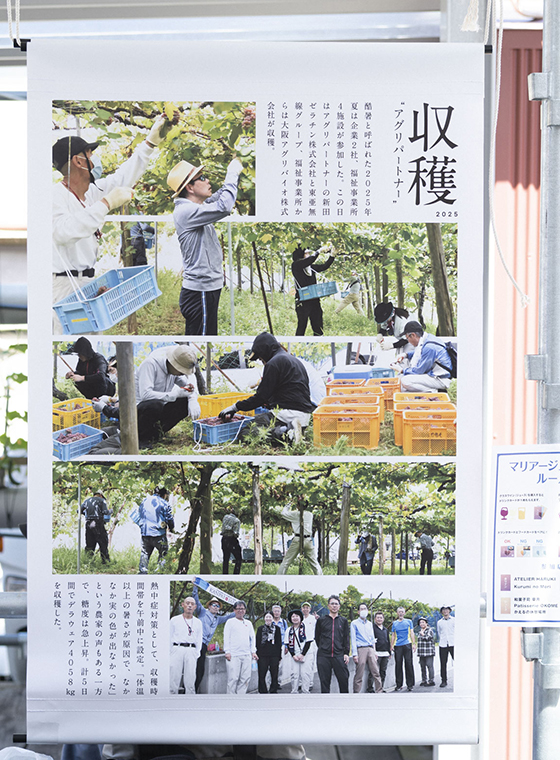 100年つむぐ葡萄とワインの記念祭2026