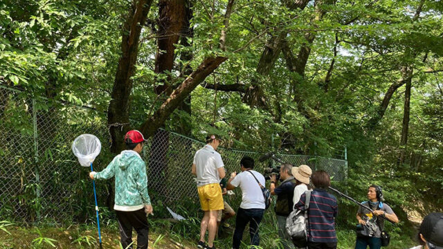 玉手山公園でクビアカツヤカミキリの捕獲活動